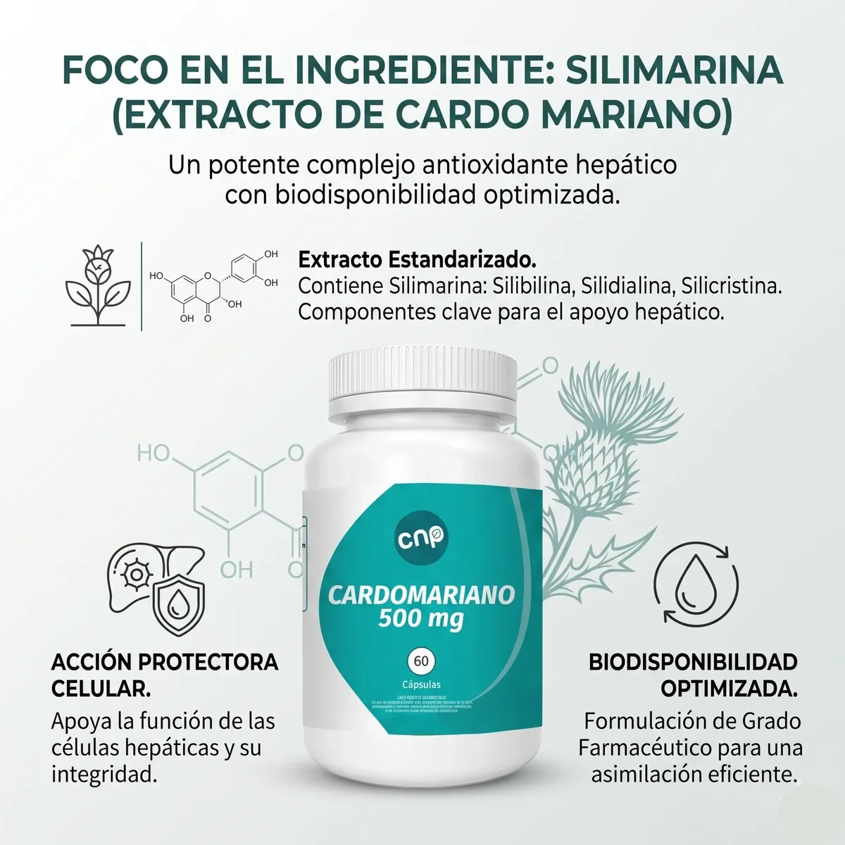 Cardo Mariano 500 mg | 60 cápsulas - Imagen 2